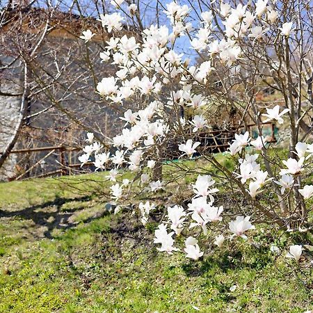 OrmeaCasa Dei Tigli别墅 外观 照片
