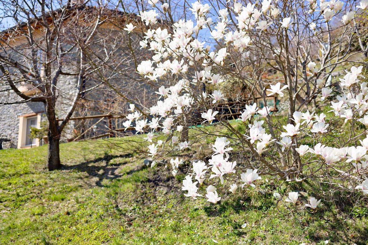 OrmeaCasa Dei Tigli别墅 外观 照片